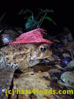 /home//u458753944/public_html/sourcegallery//McKaig Nature Center/2020-09-27/P9270722.JPG